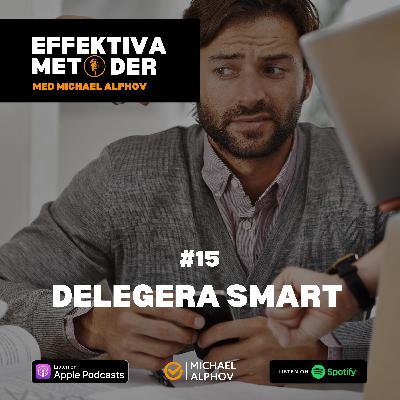 #15 Delegera smart