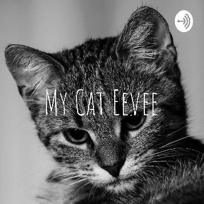 My Cat Eevee