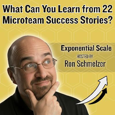 What Can You Learn from 22 Microteam Success Stories? (…Plus 1)