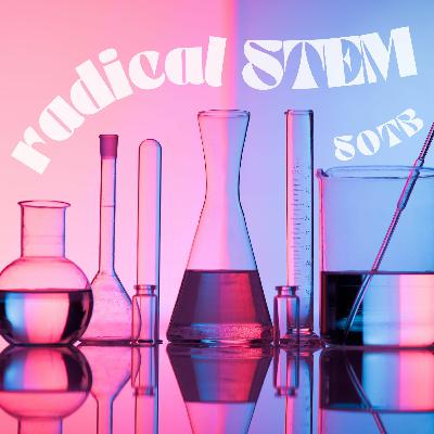 Episode 253: Radical STEM With Anna Marie La Chance Episode 253: Radical STEM With Anna Marie La Chance