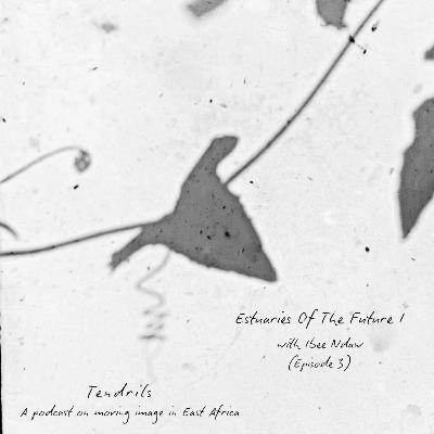 Estuaries Of The Future I with Ibee Ndaw - (Episode 3) Estuaries Of The Future I with Ibee Ndaw - (Episode 3)