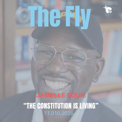 Jamelle Bouie, NYT Opinion Columnist, "The Constitution is Living"