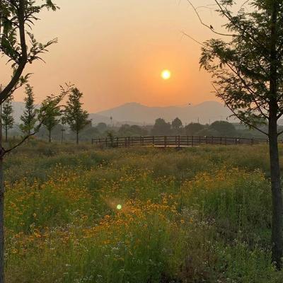 tình yêu của mọc ma kết với nhóm lửa