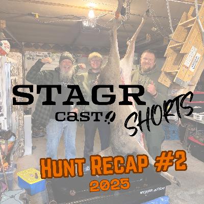 Hunt Updates #2 + Shorts