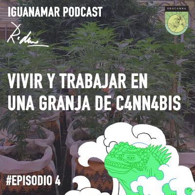 Episodio #4 Iguanamar Podcast: Vivir y trabajar en una granja de Cannabis. Entrevista Crippytero.