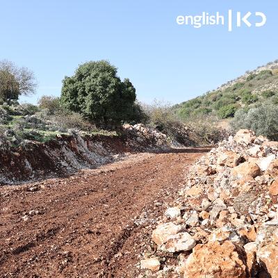 Examining the war's damage to Israel's nature and landscape