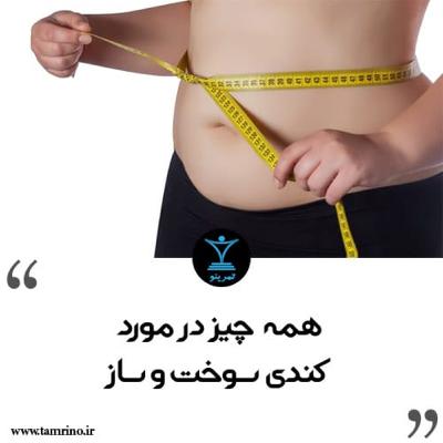 همه چیز در مورد کندی سوخت و ساز (هوش مصنوعی) همه چیز در مورد کندی سوخت و ساز (هوش مصنوعی)