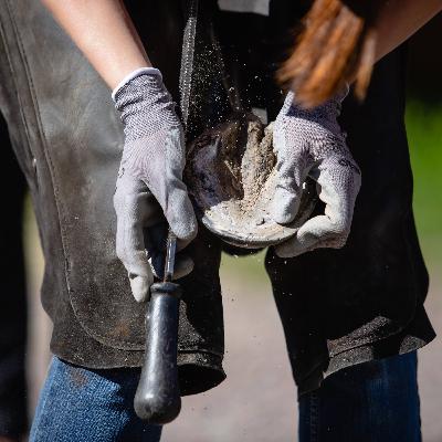 Kavionhoito ja kengitys