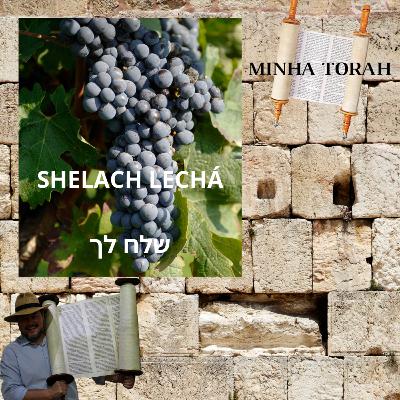 SHELACH LECHÁ - ENVIA
