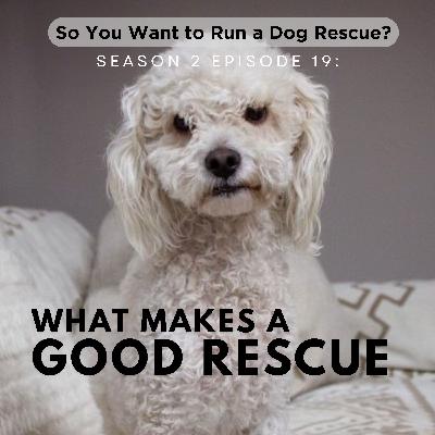 2.19: Seven Hallmarks of a "Good" Rescue (in Our Not So Humble Opinion)