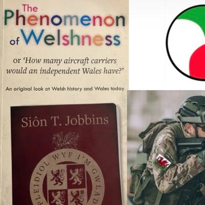 The Defence Forces of an independent Wales