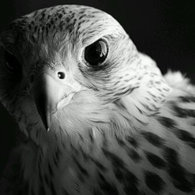 عذرك معك _ مرزوق الروقي عذرك معك _ مرزوق الروقي