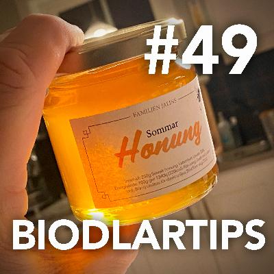 49. Den söta bluffen