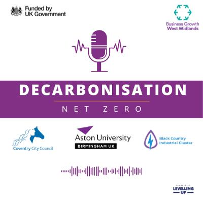 13: How can the Decarbonisation Net Zero Programme help my business?