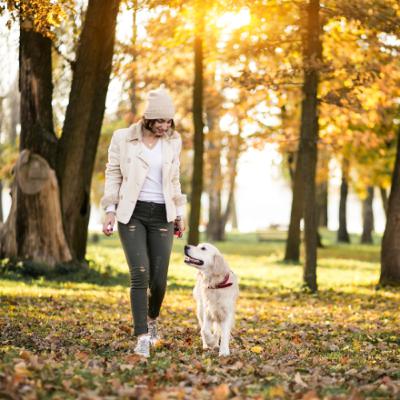 Long-lasting Flea and Tick Protection . . . At Last Long-lasting Flea and Tick Protection . . . At Last