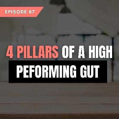 4 Pillars of a High Performing Gut