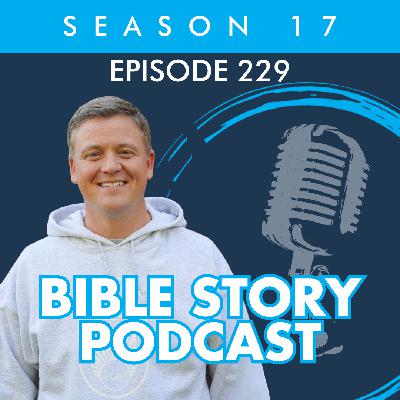 Ep 229 | Three Miracles: Part 1, Jesus Calms the Storm