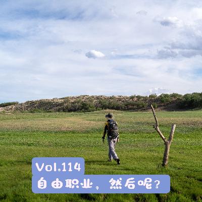 Vol.114 如果工作本无意义，自由是解药还是致幻剂？