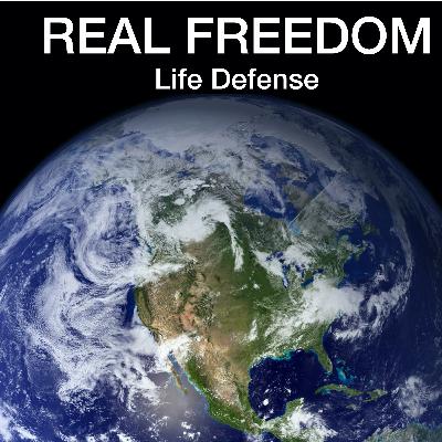 FREEDOM is Evident!