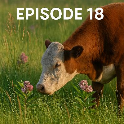 18. When Cattle Choose Milkweed: Rethinking Rangeland Ecology