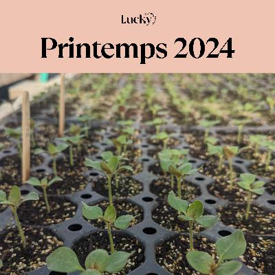 Ep 1 : La naissance d'une saison de fleurs