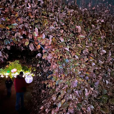 2025 Here we come! NARC Troopers Season 11 Episode 1 2025 Here we come! NARC Troopers Season 11 Episode 1