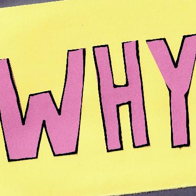 Bonus: The Most Triggering Word (in Work)