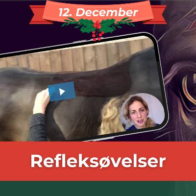 REFLEKSØVELSER (12. dec) Lær at aktivere hestens muskulatur gennem hudens reflekser