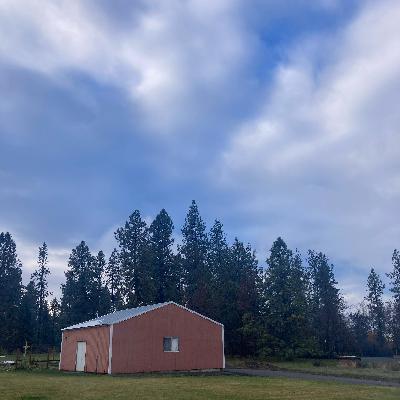 1.250🎵Basket Case/Hey Jealousy