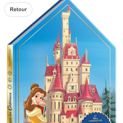 Les chateaux - Princesses Disney