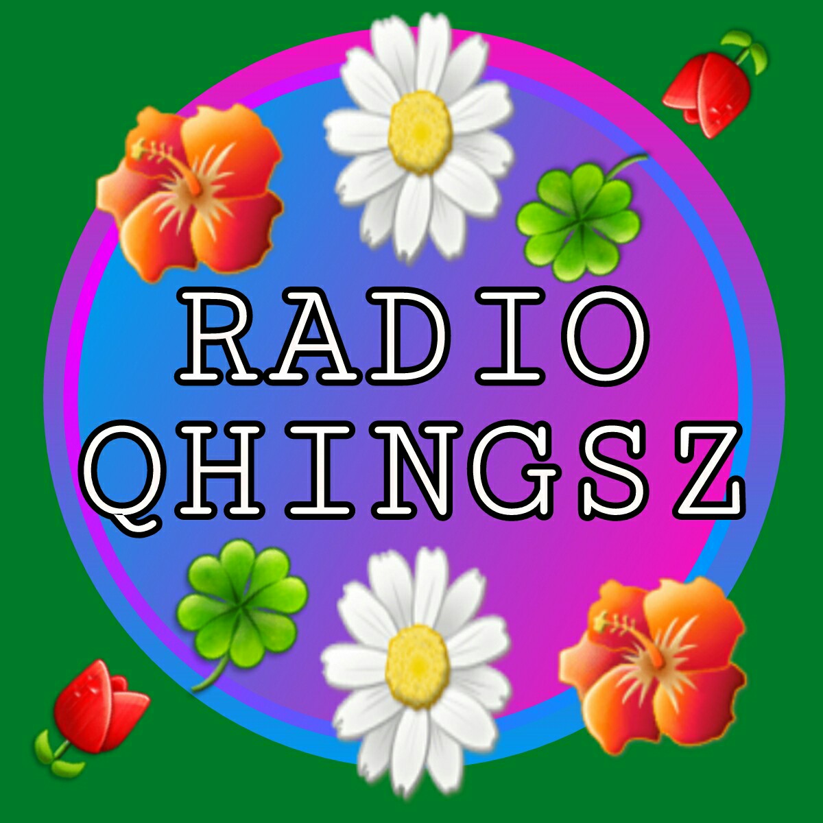 QHiNGSZ