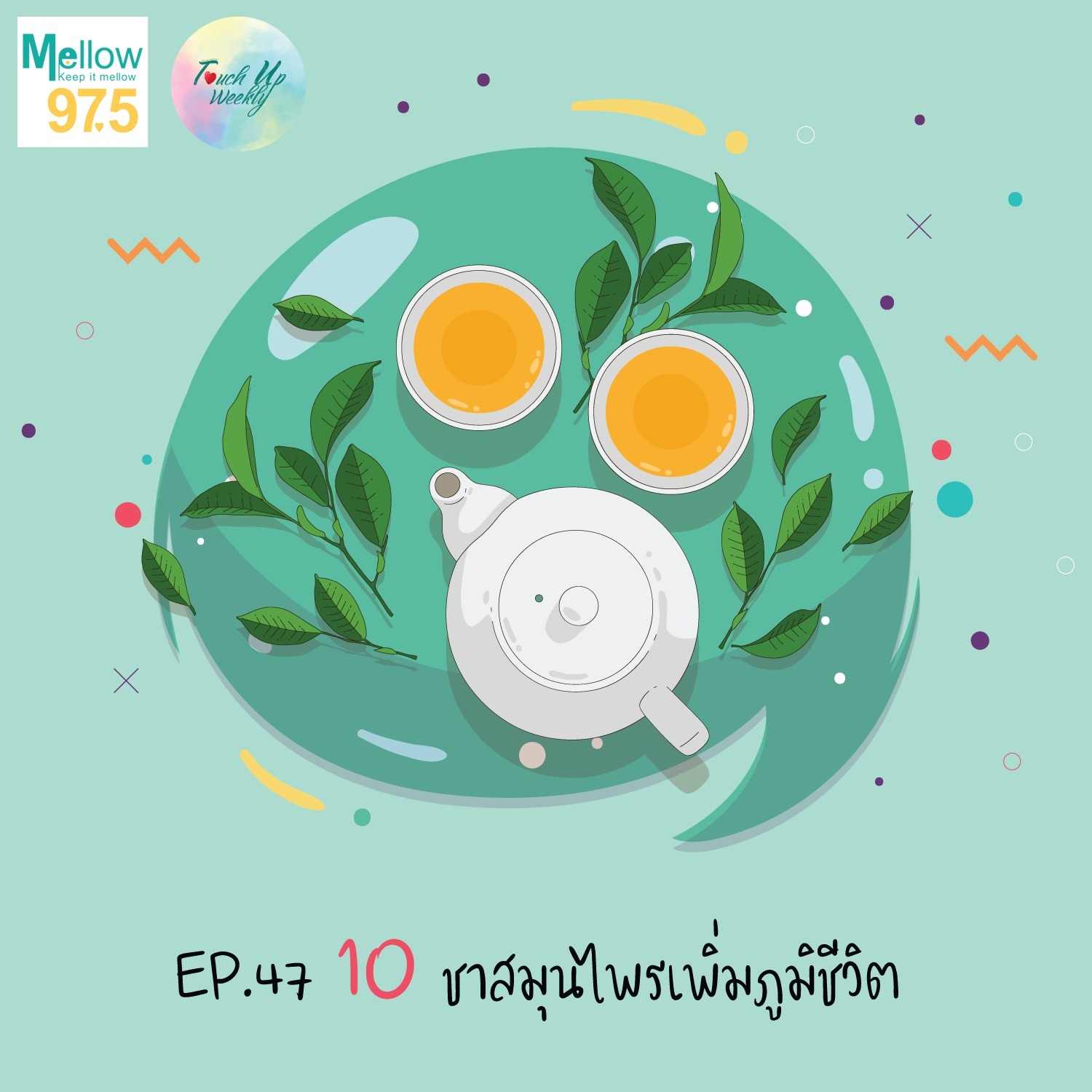 Touch up Weekly EP.47 "10 ชาสมุนไพรเพิ่มภูมิชีวิต"