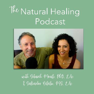 21: What is Qi? with Ann Cecil-Sterman, Part 2 of 2