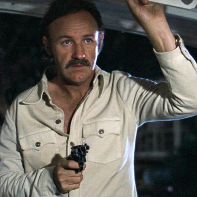 Night Moves (1975)
