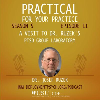 A Visit to Dr. Ruzek's PTSD Group Laboratory A Visit to Dr. Ruzek's PTSD Group Laboratory