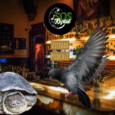 Ep. 39: Nestgetrouwe schildpadden en heroïsche duiven.