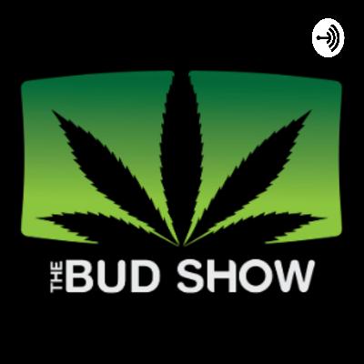 Season 4, Episode 5 of The Bud Show