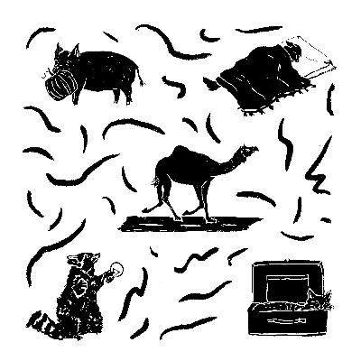 Dog in the Bed, Cat in the Bag, Camel on the Golf Course