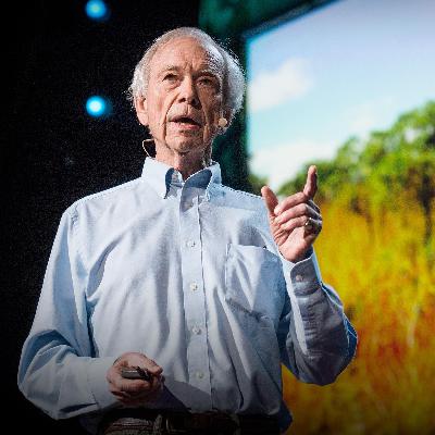 328 如何绿化沙漠并扭转气候变化 328 如何绿化沙漠并扭转气候变化