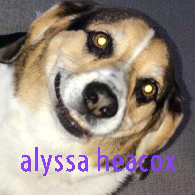 Chapter 10 small group communication