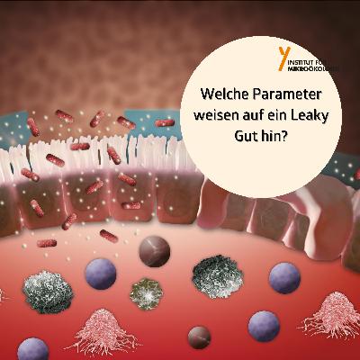 Welche Parameter weisen auf ein Leaky Gut hin?