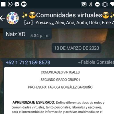 ¿Cómo enfrenta la EPO176 a la cuarentena?