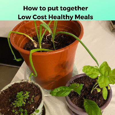 HOTB 282: How to put together low cost healthy meals