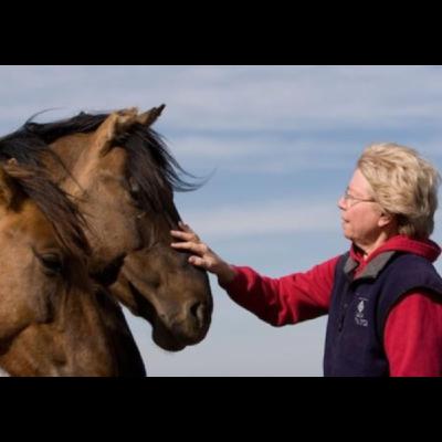 Karen Sussman: Pioneer for Wild Horse Advocacy