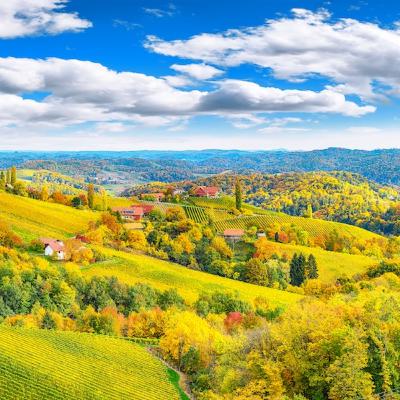 Lunedì della XXXII° settimana TO Lunedì della XXXII° settimana TO