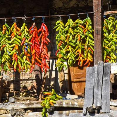 Episode 18: LiveStream from the Balkans