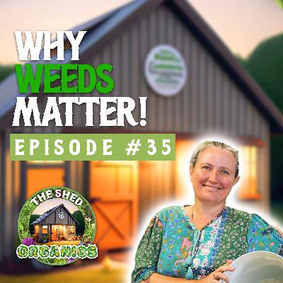 #35 - Why Weeds Are Completely Misunderstood | Kate Wall