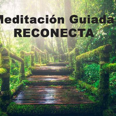 Meditación Guiada RECONECTA