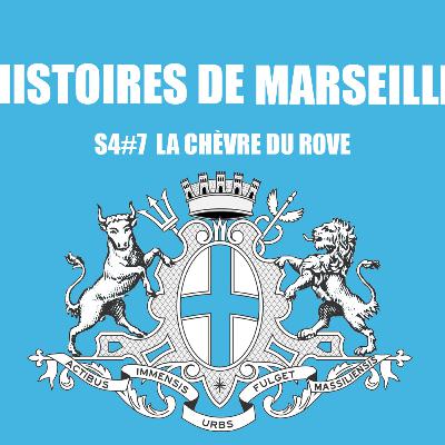 La chèvre du Rove
