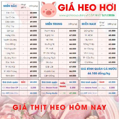 GIÁ HEO HƠI 3/1/2026 ✅ GIÁ THỊT LỢN & TIN TỨC CHĂN NUÔI #GIAHEOHOI #GIATHITHEO #GIAHEOUPDATE